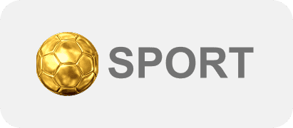 sport icon