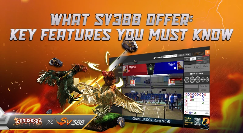 what-sv388-offer-key-features-you-must-know
