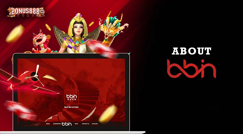 about-bbin