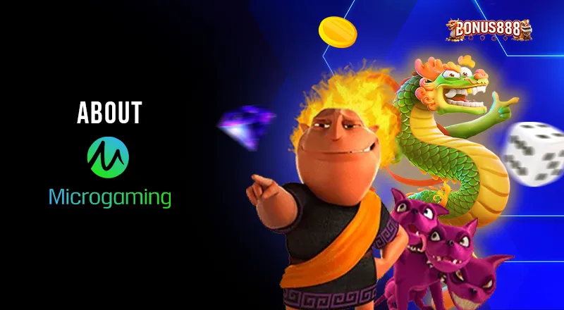 about-microgaming