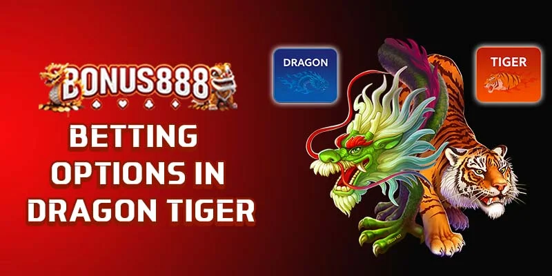 betting-options-in-dragon-tiger