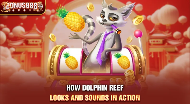 dolphin-reef-visual-and-sound-design